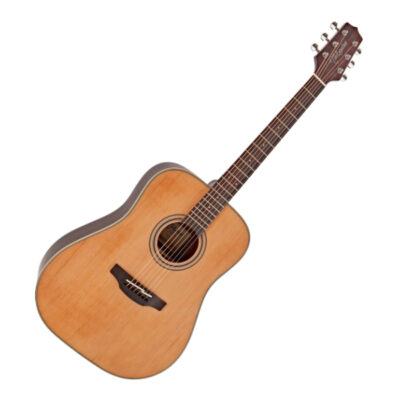 Takamine GN20-NS